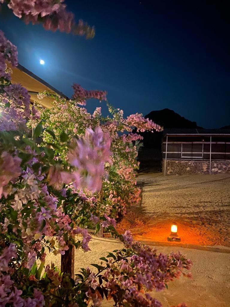Moon Night Camp Hotel Вади Рум Екстериор снимка